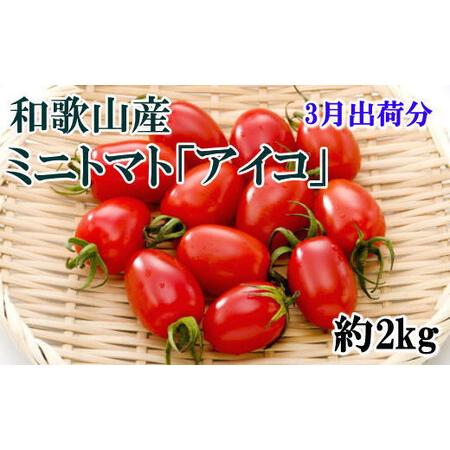 ふるさと納税 【3月出荷分】和歌山産ミニトマト「アイコトマト」約2kg（S・Mサイズおまかせ）【te...