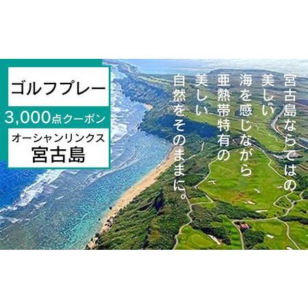 ふるさと納税 オーシャンリンクス宮古島　プレー3,000点クーポン 沖縄県宮古島市