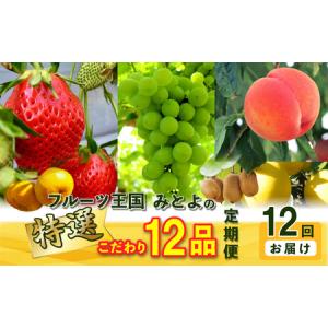ふるさと納税 フルーツ王国みとよの特選こだわり12品定期便(12回) 香川県三豊市
