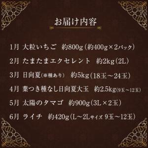 ふるさと納税 南国宮崎 旬の《至高》フルーツ定...の詳細画像1