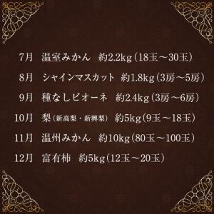 ふるさと納税 南国宮崎 旬の《至高》フルーツ定...の詳細画像2