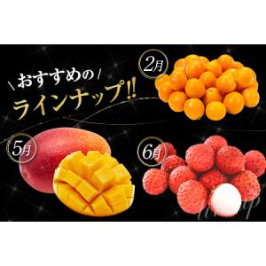 ふるさと納税 南国宮崎 旬の《至高》フルーツ定...の詳細画像3