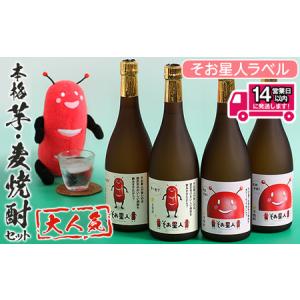 ふるさと納税 鹿児島曽於市の本格焼酎を飲み比べ