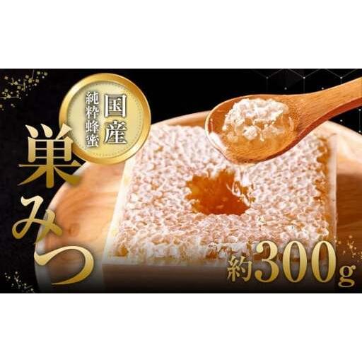 ふるさと納税 はちみつ 国産純粋 巣みつ 300ｇ（九州蜂の子本舗） 蜂蜜 ハチミツ コムハニー 国...