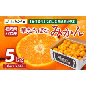 ふるさと納税 【2024年12月発送開始】華たちばなみかん 5kg｜ＪＡふくおか八女　002-005 福岡県八女市