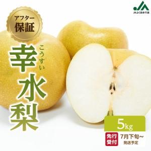 ふるさと納税 【先行受付】幸水梨（5kg）【ＪＡふくおか八女】｜2026年7月下旬〜発送予定 梨 幸水梨 2026年予約 先行受付 光センサー 002-010 福岡県八女市