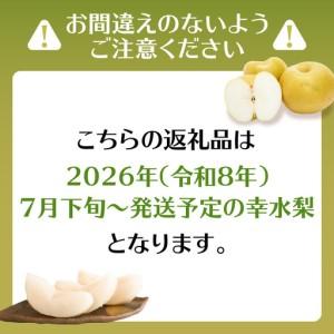 ふるさと納税 【先行受付】幸水梨(5kg)【J...の詳細画像1