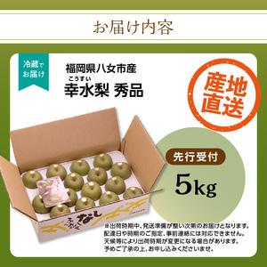 ふるさと納税 【先行受付】幸水梨(5kg)【J...の詳細画像2