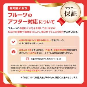 ふるさと納税 【先行受付】幸水梨(5kg)【J...の詳細画像4