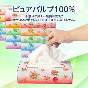 ふるさと納税 クラリスボックスティッシュ60箱...の詳細画像2