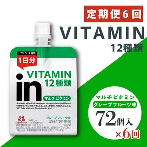 ふるさと納税 定期便 6回 inゼリー マルチビ...の商品画像