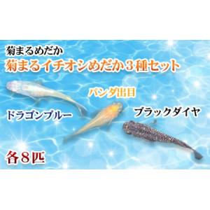 イマジン・グローバル・ケア ブロリコ90錠 1個 : 元気になるお薬屋