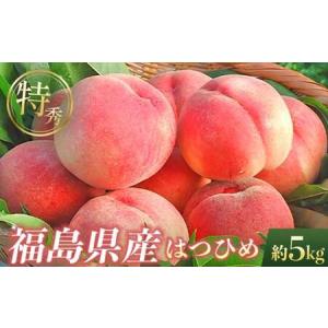ふるさと納税 【2026年出荷分先行予約】福島県産 特秀 はつひめ 約5kg (18-22玉) ふくしま未来農業協同組合 特秀 透過式光センサー選別 糖度11度.. 福島県伊達市