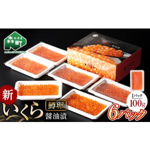 ふるさと納税 新いくら醤油漬け 100g×6パック（鱒卵）いくら