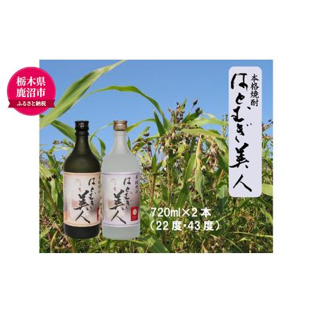 ふるさと納税 【栃木県 鹿沼市産】 本格焼酎 はとむぎ 美人 2本セット（22度・43度）各720m...