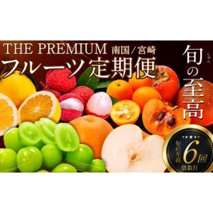 ふるさと納税 南国宮崎 旬の《至高》フルーツ定期便 偶数月コース（計6回） 【F96】 宮崎県新富町
