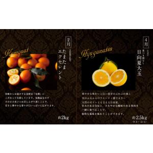 ふるさと納税 南国宮崎 旬の《至高》フルーツ定...の詳細画像2