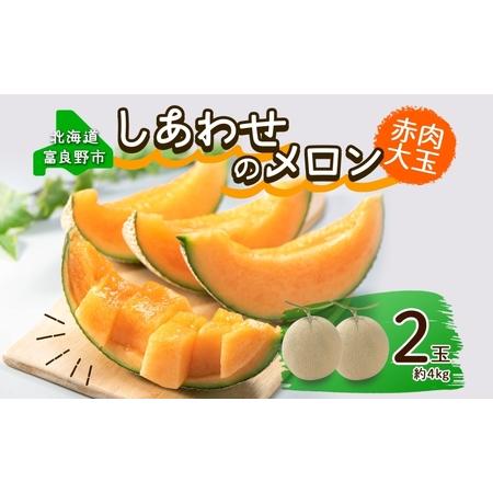 ふるさと納税 ＜2026年発送 先行受付＞ふらの産 しあわせのメロン 赤肉 大玉 2玉 計4kg メ...