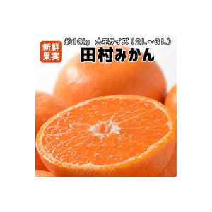 ふるさと納税 有田みかんの有田みかんの最高峰【和歌山ブランド】人気の田村みかん　１０kg（大玉2L・3Lサイズ）【紀州グルメ市場】 和歌山県湯浅町