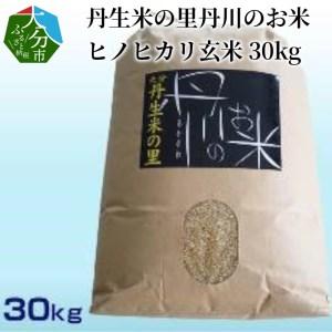 ふるさと納税 B02010　丹生米の里丹川のお米 ヒノヒカリ玄米 30kg 大分県大分市