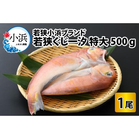 ふるさと納税 若狭小浜ブランド 若狭ぐじ一汐 特大：500g 1尾 甘鯛 ギフト  [A-01200...