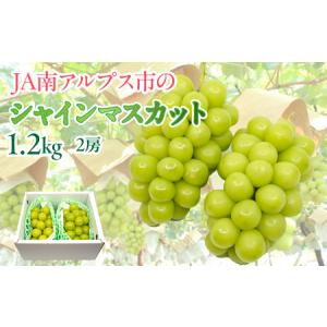 ふるさと納税 5-1 【令和6年9月上旬から10月中旬発送予定】絶品！南アルプス市産シャインマスカッ...