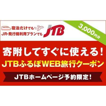 ふるさと納税 【金沢市】JTBふるぽWEB旅行クーポン（3,000円分）  石川 金沢 加賀百万石 ...