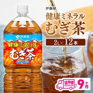 ふるさと納税 【定期便】伊藤園 健康ミネラル むぎ茶 2L×6本×2ケース PET 9ケ月定期便【お茶 麦茶 ムギ茶 飲料 水分補給 ソフトドリ.. 宮崎県川南町