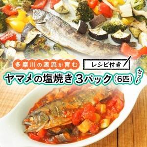 ふるさと納税 多摩川の源流が育むヤマメの塩焼き　3パック（6匹）セット ※レシピ付き 山梨県小菅村