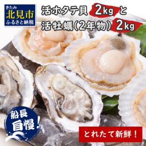 ふるさと納税 【予約：2026年10月中旬から順次発送】とれたて新鮮！活ホタテ貝2kgと活牡蠣2年物2kg ( 海鮮 魚介 貝 帆立 ほたて ホタテ カキ か.. 北海道北見市
