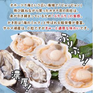 ふるさと納税 【予約:2026年10月中旬から...の詳細画像1
