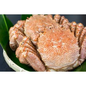 ふるさと納税 毛蟹700g×1尾 C-66016 北海道根室市
