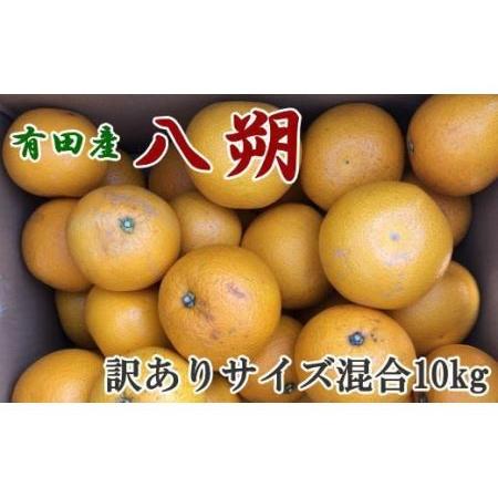 ふるさと納税 果物 くだもの フルーツ 蜜柑 みかん / 【手選果・訳あり】有田産の八朔10kg（サ...