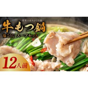 ふるさと納税 牛もつ鍋セット 約12人前 国産 小腸