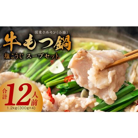 ふるさと納税 牛もつ鍋セット 約12人前 国産 小腸 1.2kg（300g×4） 塩こうじ スープ付...