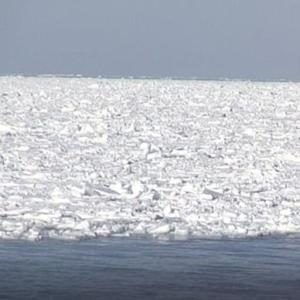 ふるさと納税 2000-3 オホーツク海の流氷...の詳細画像1