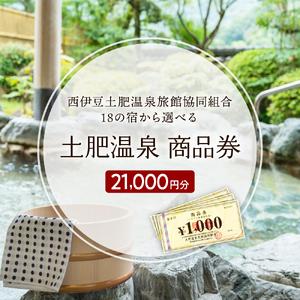 ふるさと納税 静岡 伊豆 土肥 温泉 旅館 協同...の商品画像