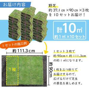 ふるさと納税 天然芝<野芝>10平米! 芝 芝...の詳細画像1