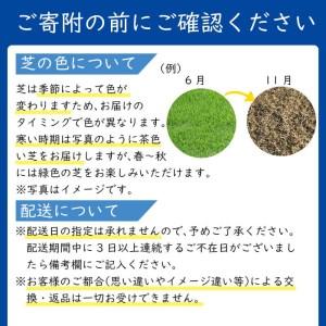 ふるさと納税 天然芝<野芝>10平米! 芝 芝...の詳細画像2