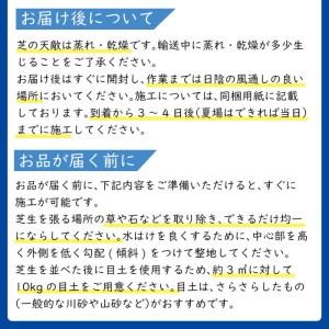 ふるさと納税 天然芝<野芝>10平米! 芝 芝...の詳細画像3
