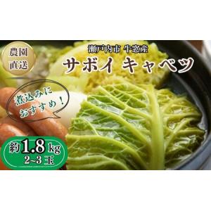 ふるさと納税  瀬戸内 牛窓産 サボイ キャベツ 約1.8kg（2〜3玉）