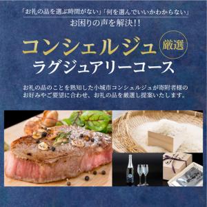 ふるさと納税 コンシェルジュプラン50（プレミアム 高額 相談 担当者付き） H050-002 佐賀県小城市