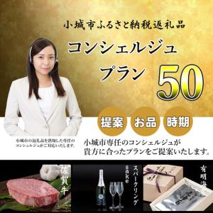 ふるさと納税 コンシェルジュプラン50(プレミ...の詳細画像2
