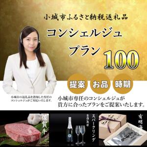 ふるさと納税 コンシェルジュプラン100(プレ...の詳細画像2