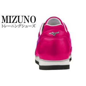 ふるさと納税 AO35 ミズノトレーニングシュ...の詳細画像1