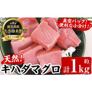 ふるさと納税 キハダマグロ (約1kg)   天然のキハダマ...