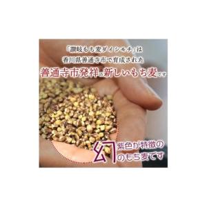 ふるさと納税 【生産者応援企画!】 讃岐もち麦...の詳細画像1