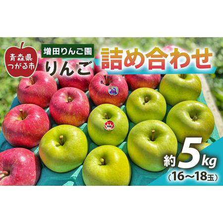 ふるさと納税 りんご 詰め合わせ 約5kg(16〜18玉) 青森産 つがる市【2024年11月下旬よ...