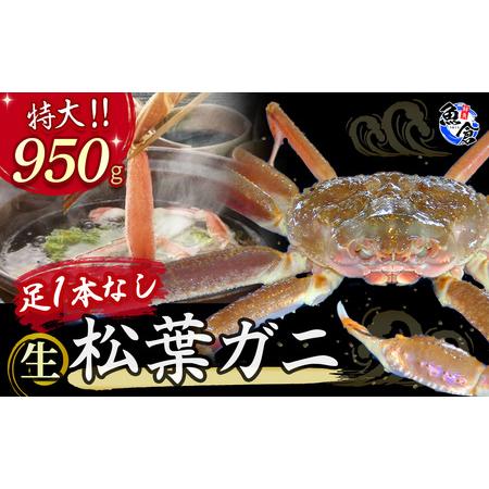 ふるさと納税 松葉ガニ 訳あり足１本なし生松葉ガニ（特大950g）訳ありかに カニ 蟹 生 新鮮 か...