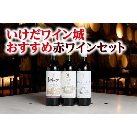 ふるさと納税 十勝ワイン いけだワイン城おすすめ赤ワインセット3本 山幸 ツバイゲルト 樽熟成 赤ワ...